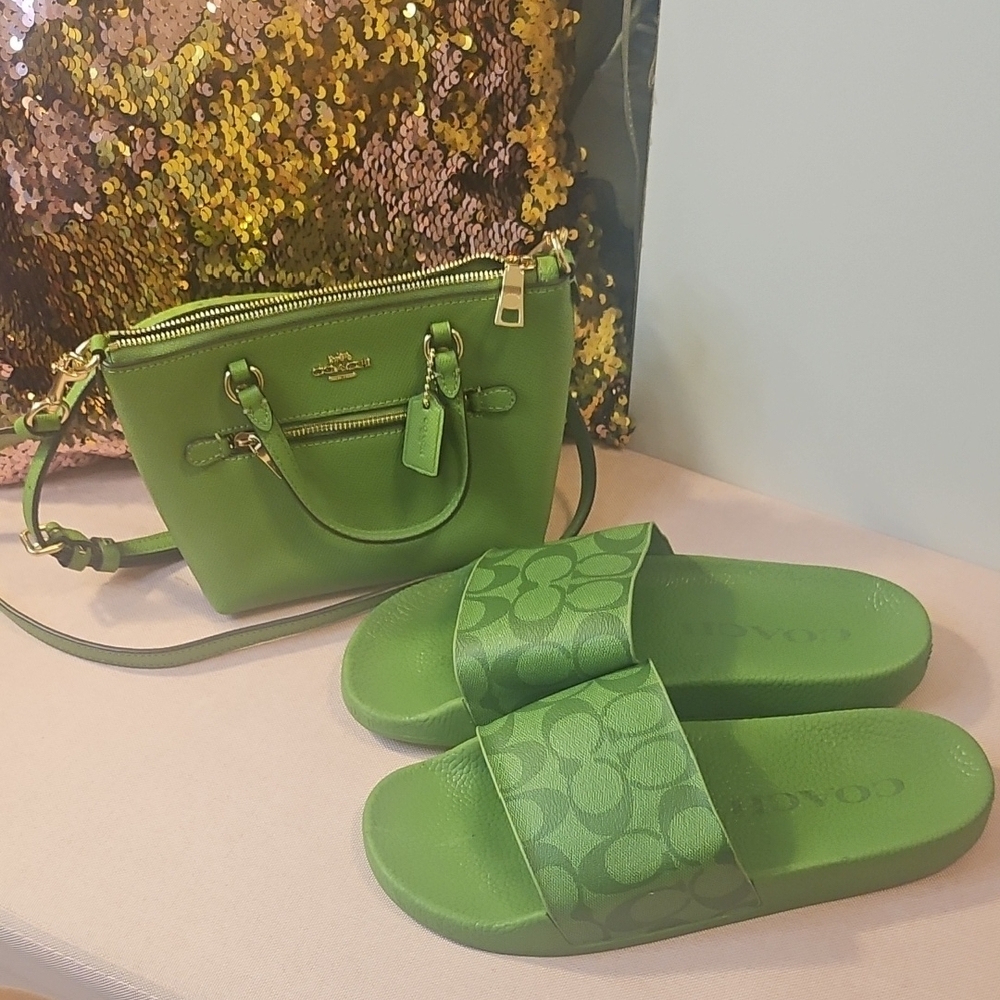 Coach Green Slide Sandals and Small purse